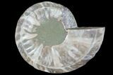 Agatized Ammonite Fossil (Half) - Crystal Chambers #103092-1